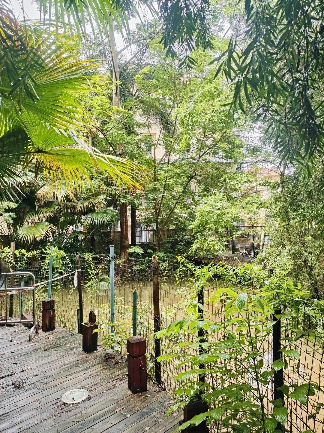 桑德兰vs西汉姆联_黄杨钿甜父母回应网络争议：“天价耳环”实际100多元桑德兰vs西汉姆联，别墅不是自家的，只是路过拍照