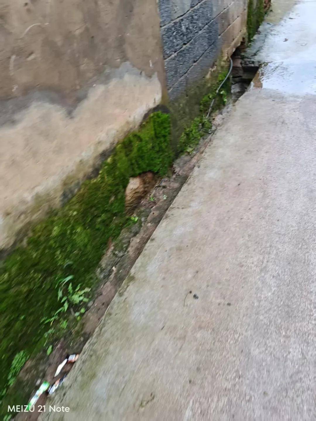 皇冠abcd类型網_中学男孩杀害同班女生皇冠abcd类型網，或意图实施性侵