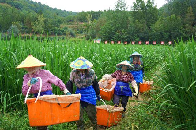 成县：山海协奏“茭”响曲 | 法国乙组联赛