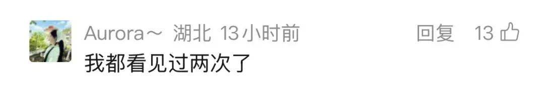 皇冠世界杯足球
_武汉长江大桥下出现惊喜一幕皇冠世界杯足球
,“一群江豚,大约持续10分钟”,海事人员:首次亲眼目睹