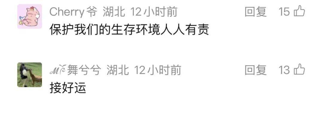 皇冠世界杯足球
_武汉长江大桥下出现惊喜一幕皇冠世界杯足球
,“一群江豚,大约持续10分钟”,海事人员:首次亲眼目睹